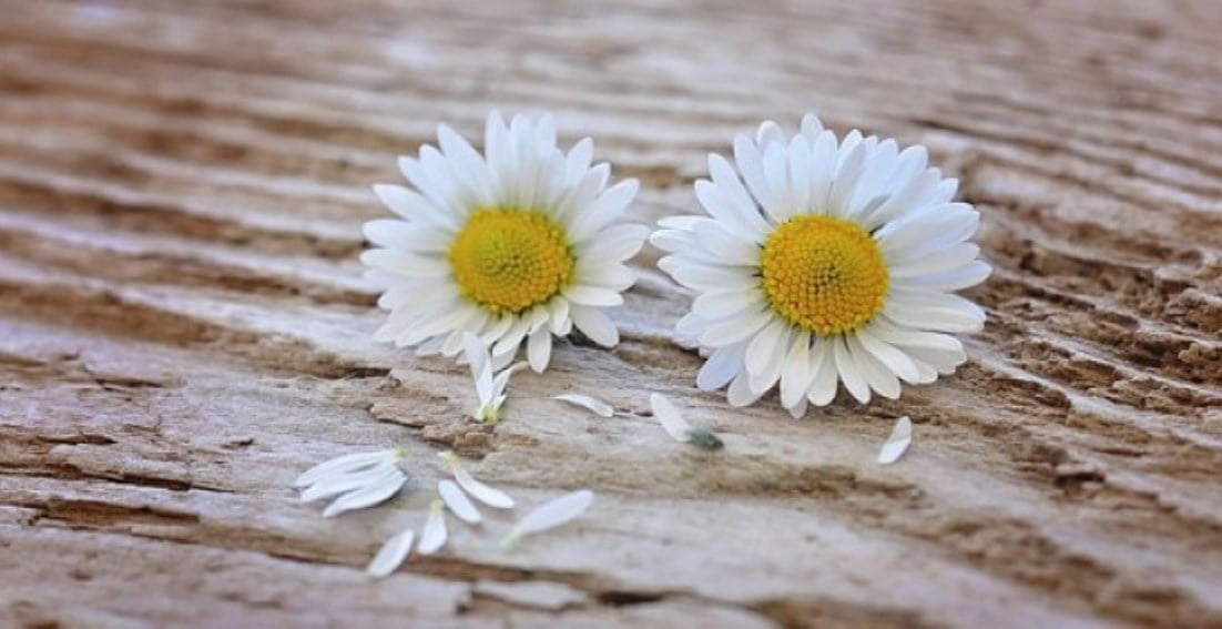 İMTİHAN İÇİNDE İMTİHANLAR