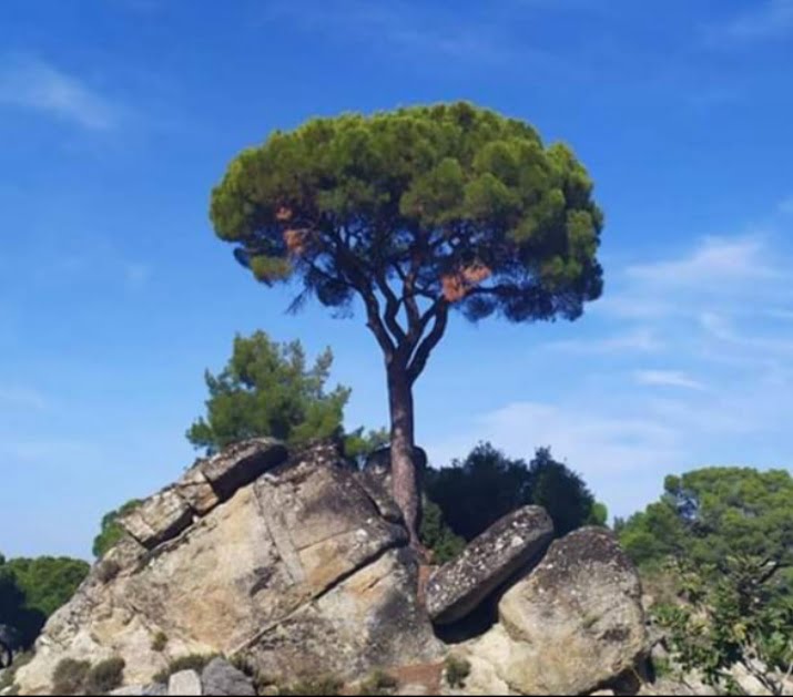 Risale Dersi 488: 30.Lem’a 8