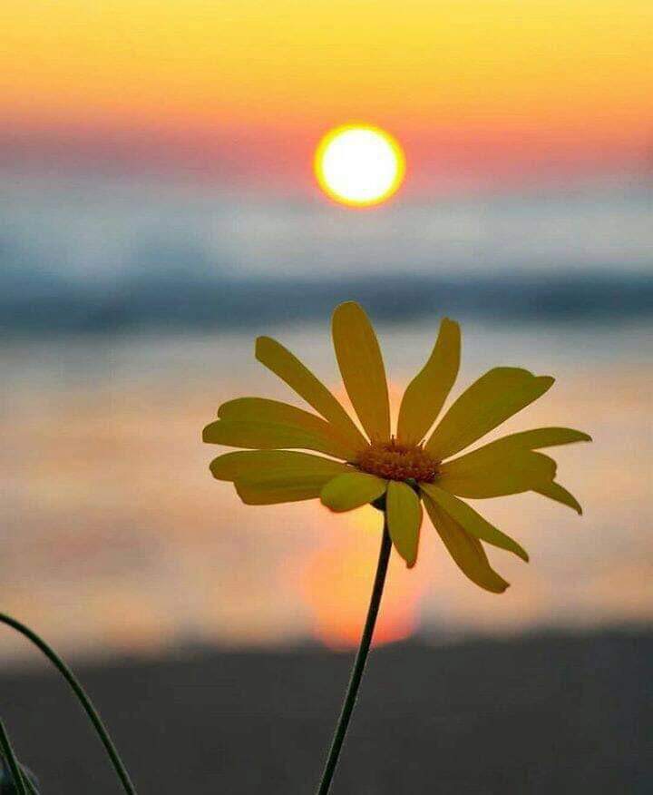 Risale Dersi 780: İman ve Küfür Muvazeneleri 4